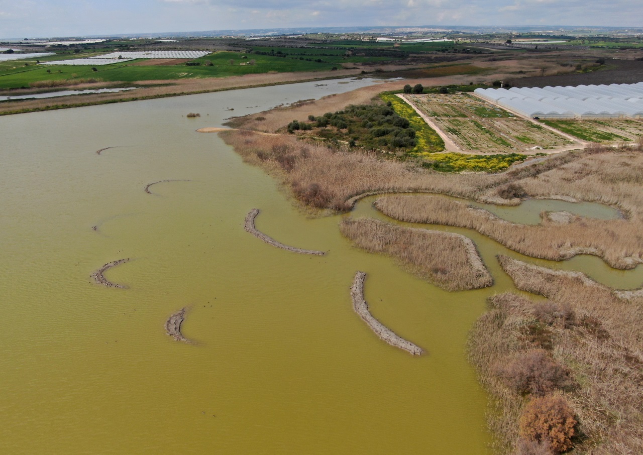Die Biotop-Optimierungsarbeiten in unserem Zugvogelschutzgebiet - Bild 2